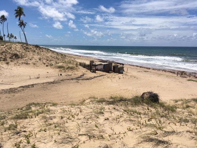 Lotes na Praia - Foto 3