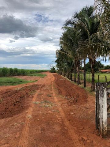 Fazenda 152 alqueires em são jose do rio preto 15.000.000.00 - Foto 3