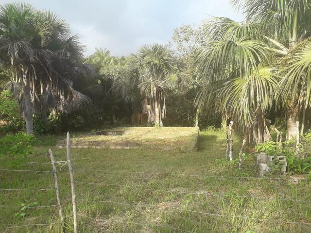 Vende-se um sítio no itaparí -panaquatira - Foto 2