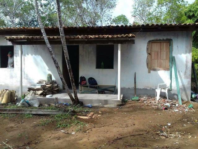Sítio em Abrantes - Aluguel/arrendamento - Foto 5