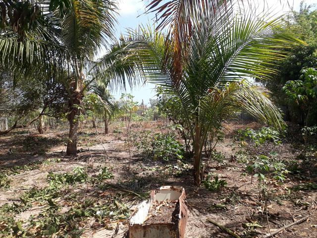 Vende -se esse terreno - Foto 2