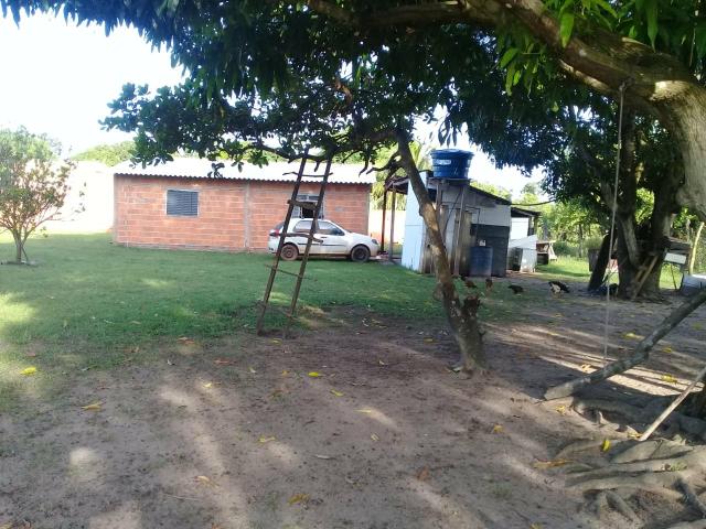 Vende-se uma chácara - Foto 8