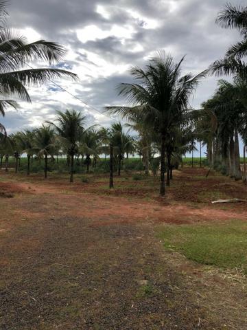 Fazenda 152 alqueires em são jose do rio preto 15.000.000.00 - Foto 11