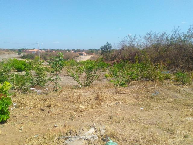 Terreno em Timon de frente UFMA, na Avenida Luís Firmino de Sousa, 50,00 X 100,00 - Foto 2