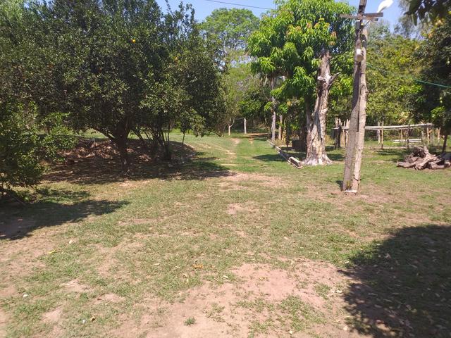 Chácara na beira do rio coxipo - Foto 9