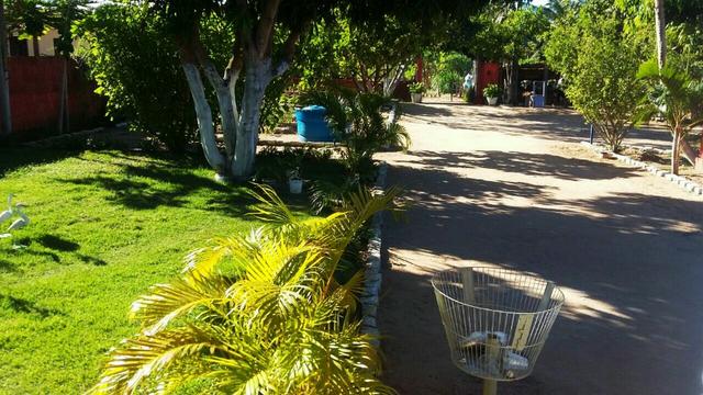 Granja Pium 7KM de Parnamirim à 4km da BR 101, Varanda, Piscina, Fogão a Lenha - Foto 7