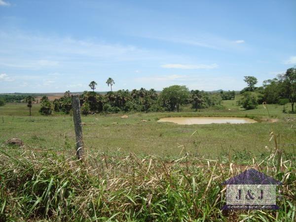 Fazenda município de Edealina - GO! Agende sua visita !!!