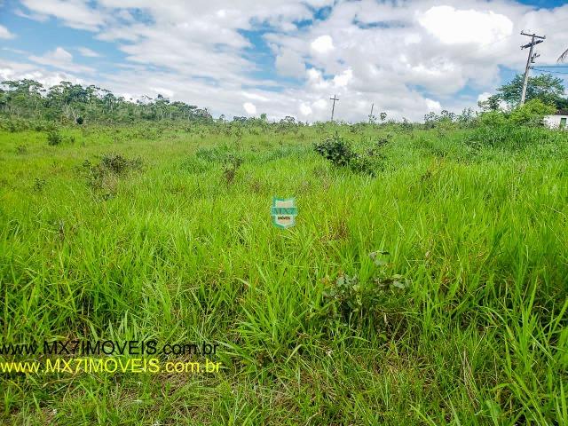Ubaitaba. Fazenda mista de 160 Hectares, rica em água. - Foto 18