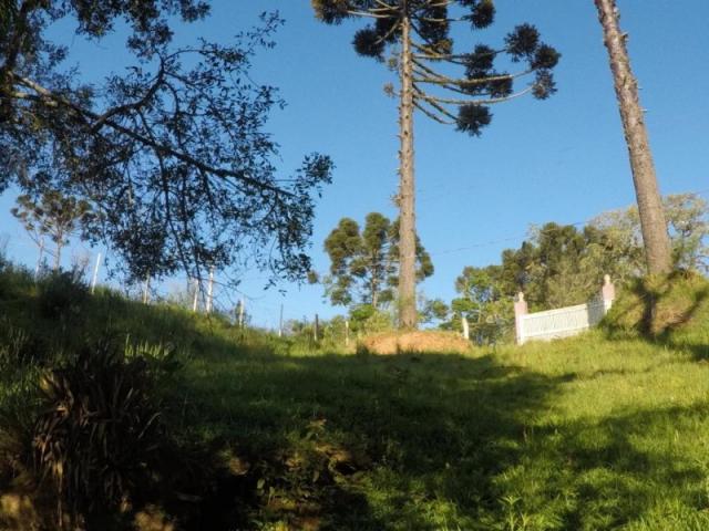 Chácara nà venda - barro preto - são josé dos pinhais/pr - Foto 14