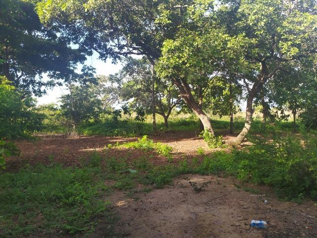 Chácara a Venda! - Foto 11