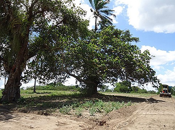 Lotes em São Gonçalo dos Campos