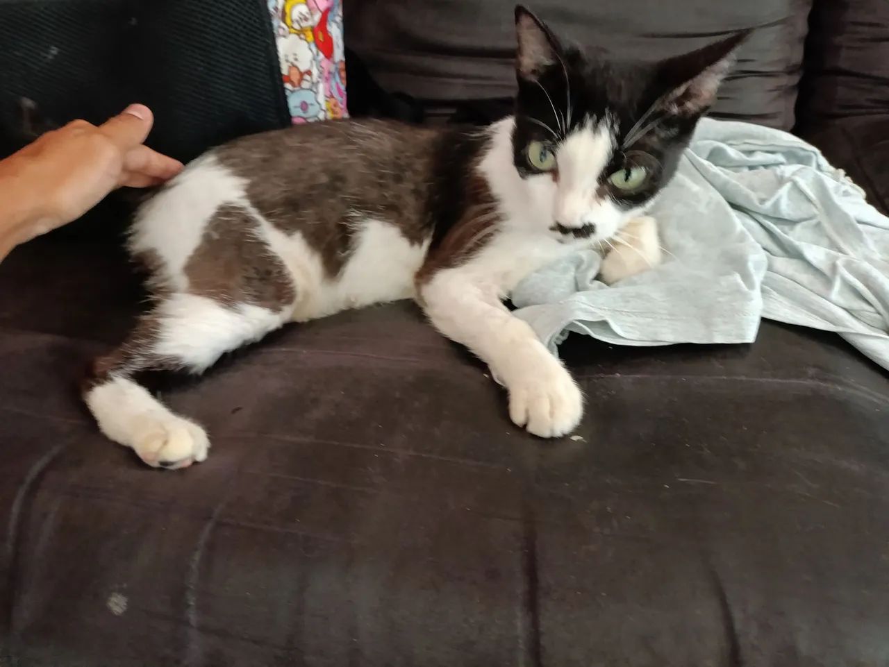 Mãe e filha disponível para a adoção! - Foto 2