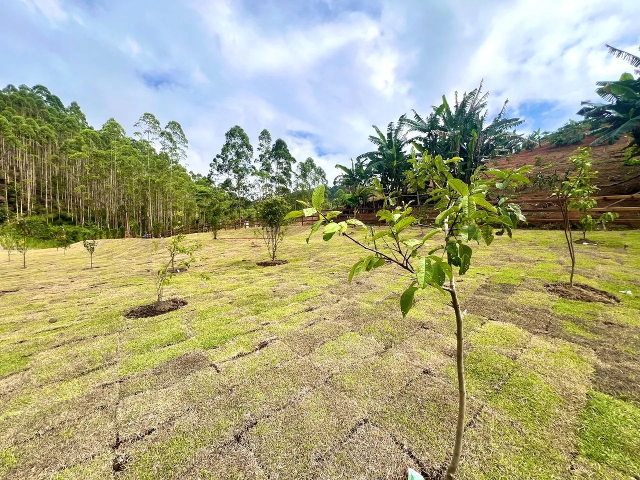 Linda Chácara com lago em Santa Teresa a 5 km do centro  - Foto 10
