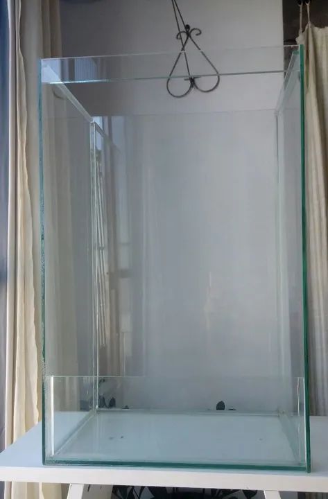 Terrario de Vidro para suculentas - Foto 6