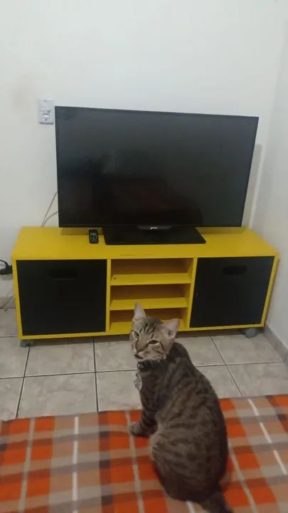 TV Philips 43" para CONSERTO - Foto 3