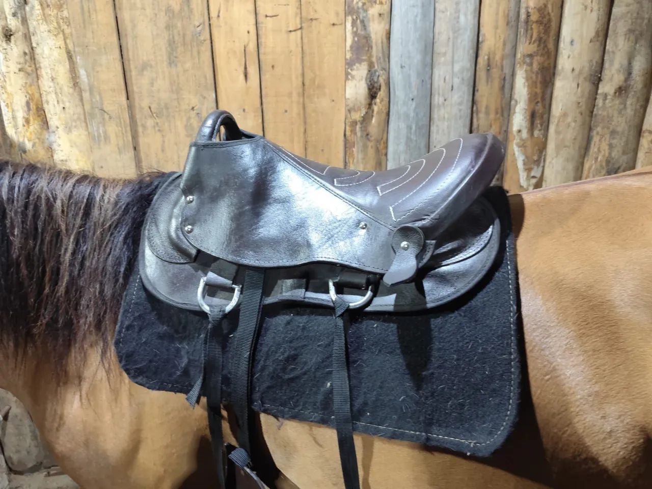 Sela para cavalo - Foto 2