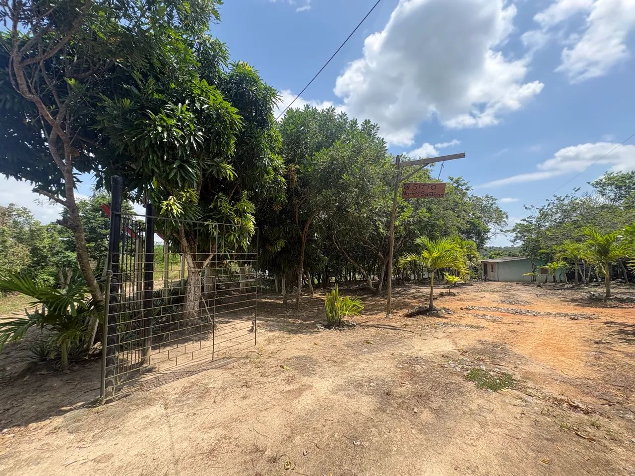 Foto - Recife - Cordeiro