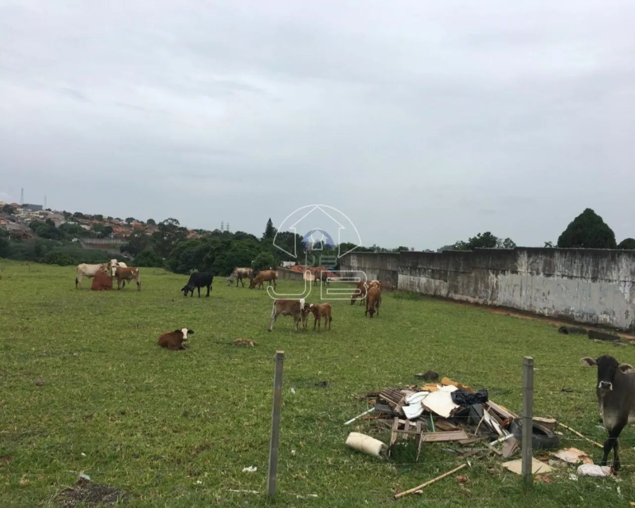 Terreno comercial de 33.000 m² à venda em Sumaré/SP, no Parque das Indústrias (Nova Veneza - Foto 5