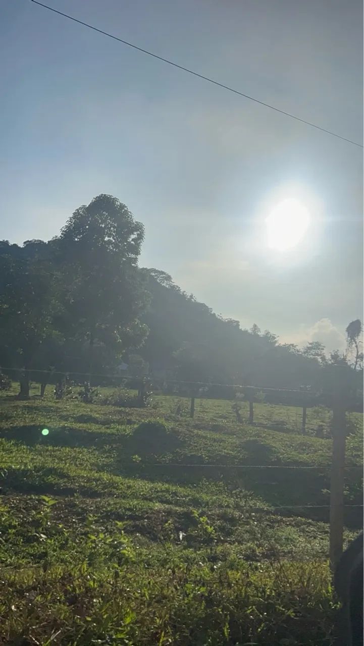Venda de chácara - Foto 3