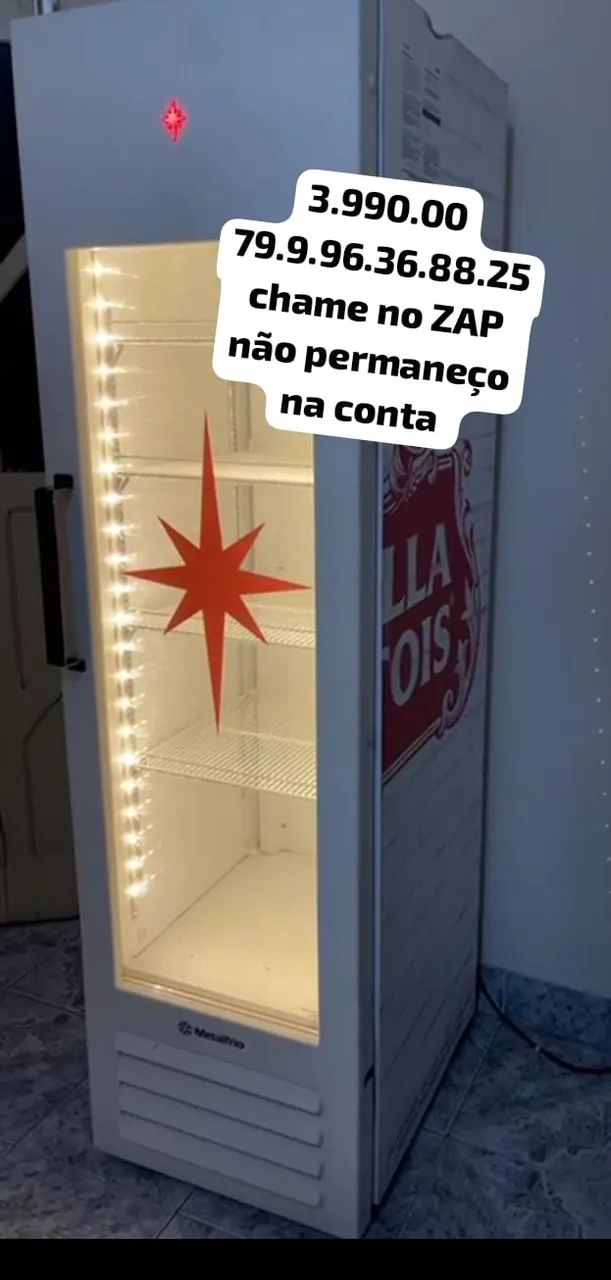 cervejeira expositora