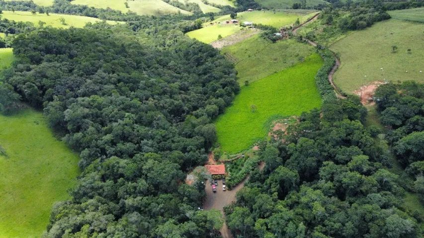 Sítio 102.850mts Rico em Água (Entre Ventania x Curiúva) - Foto 3
