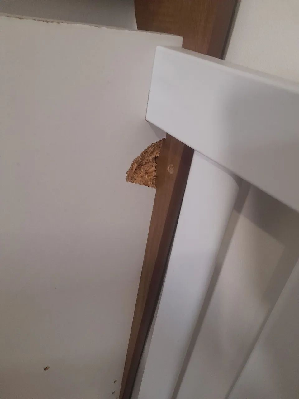 Berço americano  - Foto 3