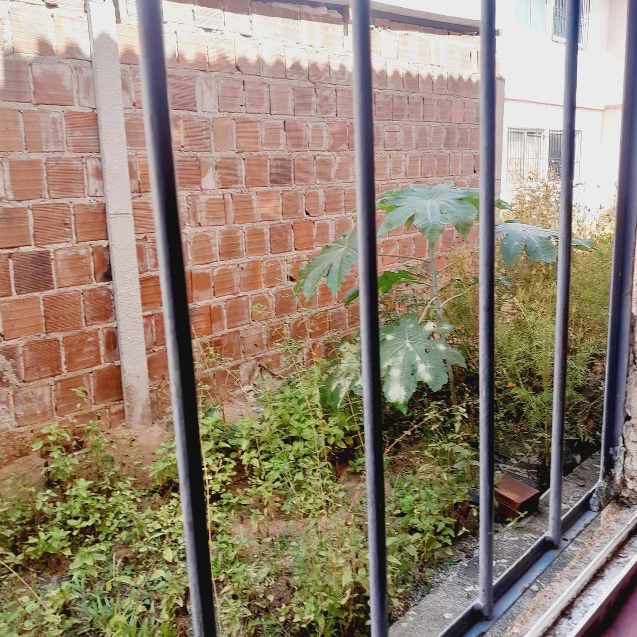 Foto - Maceió - Benedito Bentes