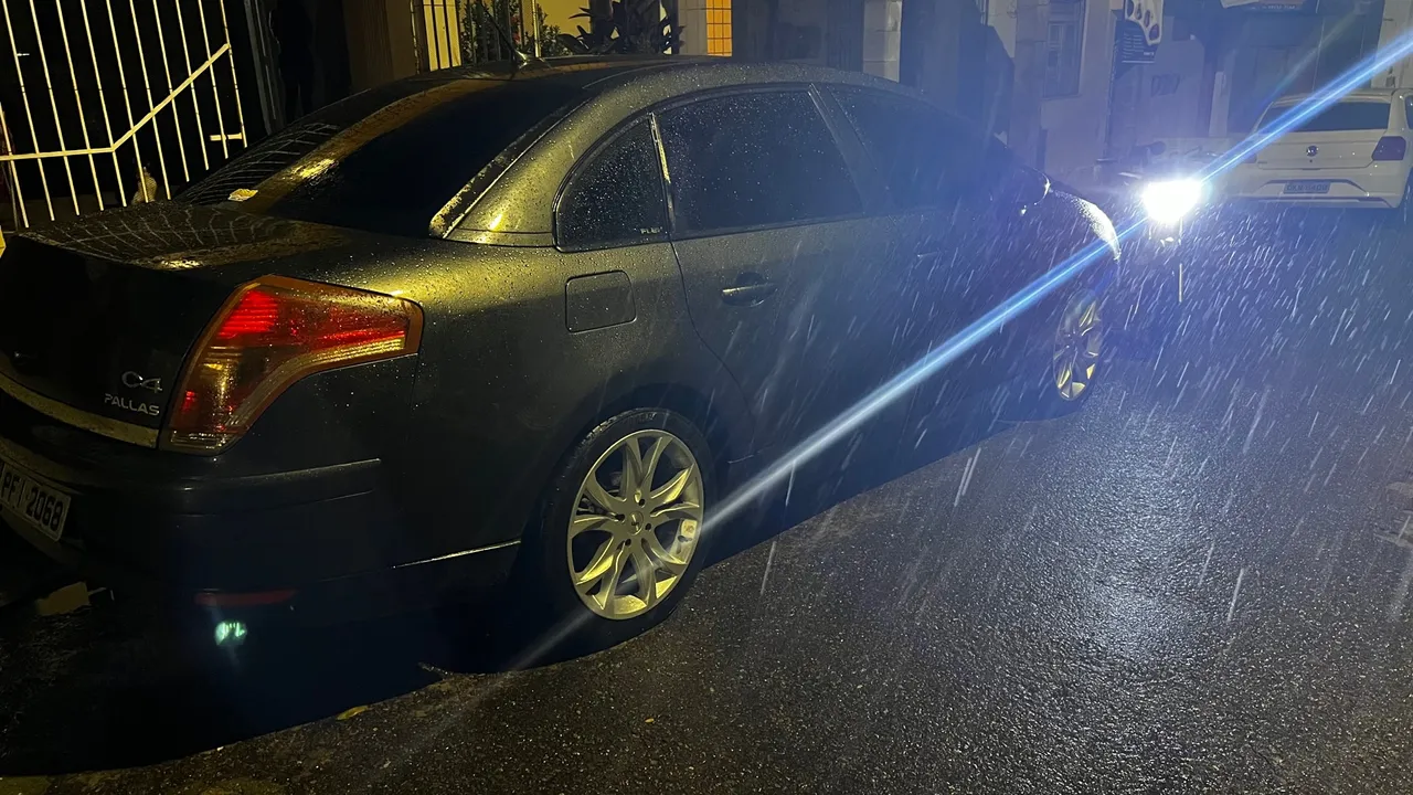 C4 Pallas manual