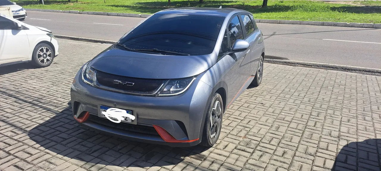 Byd dolphin repasse