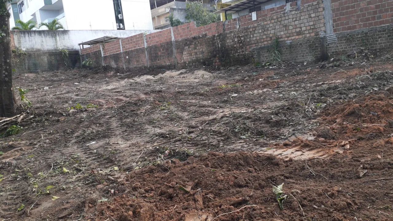 Foto - Recife - Areias