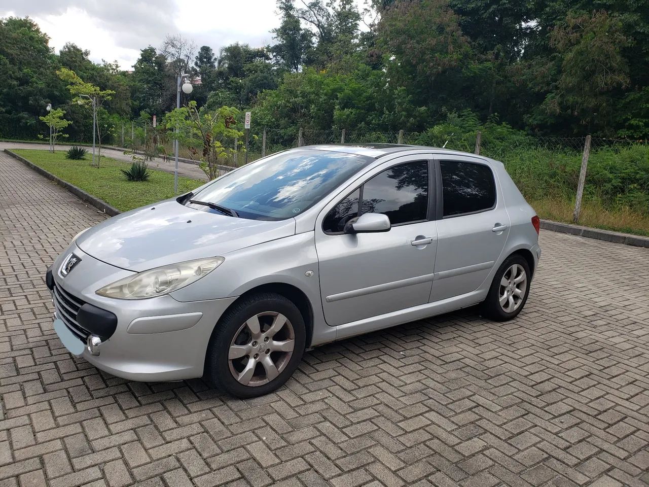 Peugeot 307 Hatch 1.6 16v Presence Pack 5p 2009/2010 Flex