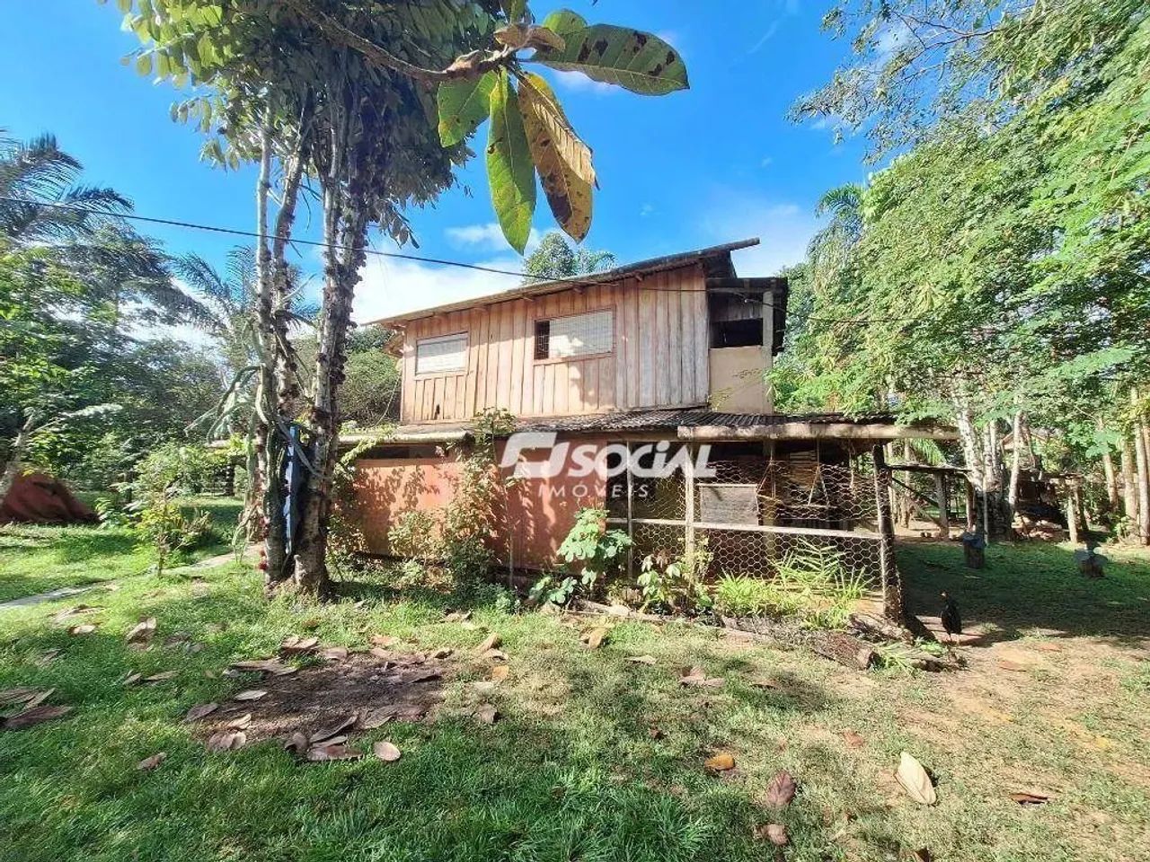 Sítio com 8 dormitórios à venda, 142500 m² por R$ 300.000,00 - Área rural de Canutama - Ca - Foto 3