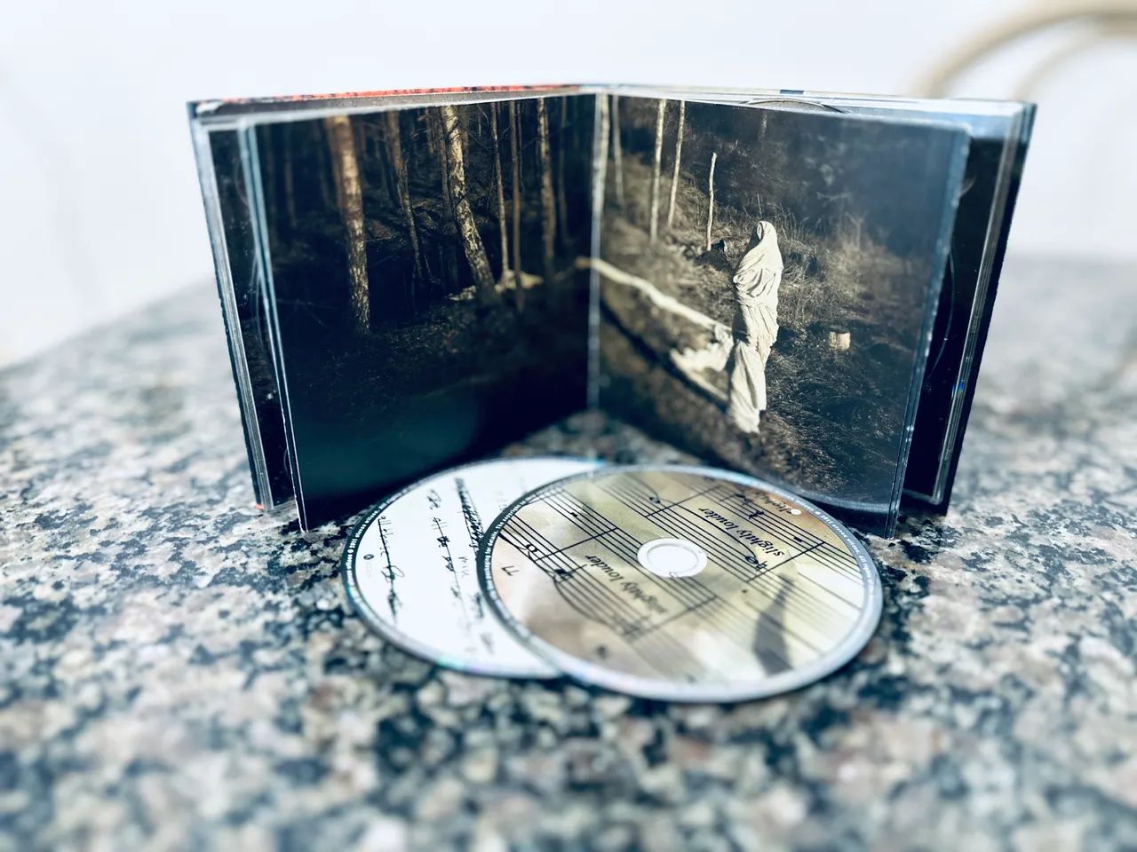 Steven Wilson - Grace for Drowning (2011) - Foto 3