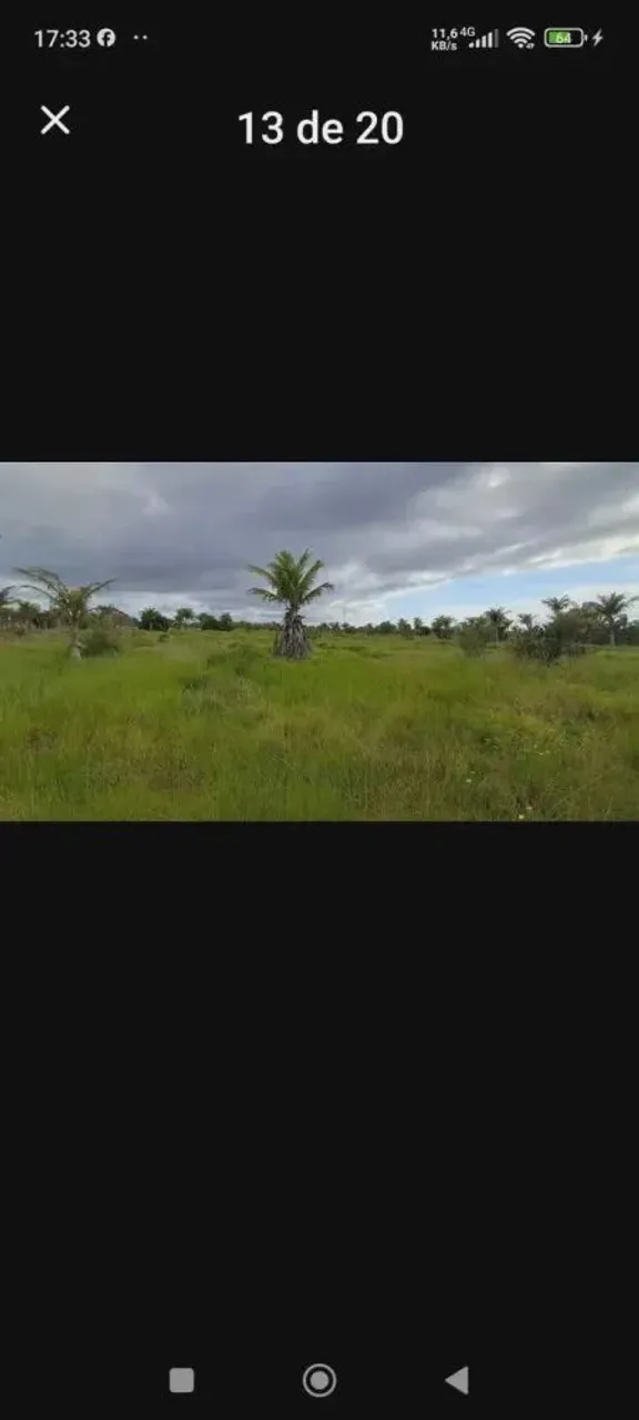 Fazendão em Quissamã com 62 alqueires toda plana com bastante agua