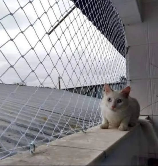 Rede de Proteção para Janelas e Sacadas - Foto 6