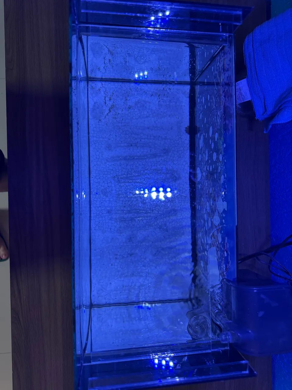 Aquário 19L completo  - Foto 5