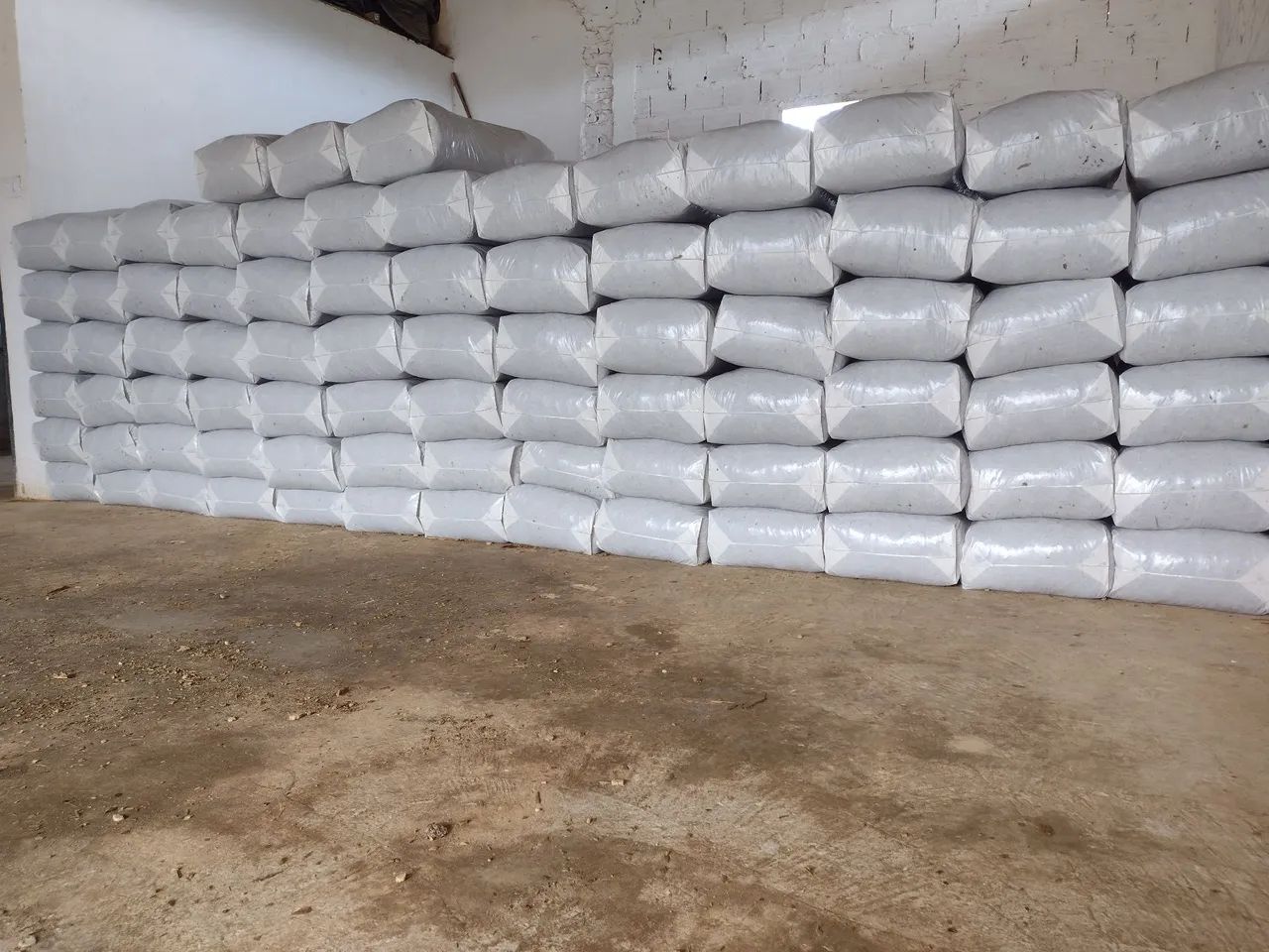 Silagem de milho - Foto 3