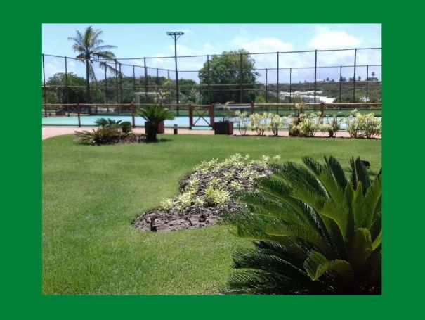 RESERVA SAUÍPE, Lotes de 450 a 620 m², vista mar a 300 metros da praia - SAUIPE - Foto 3