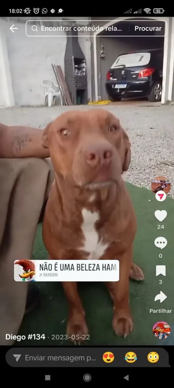 Doação responsável  - Foto 2