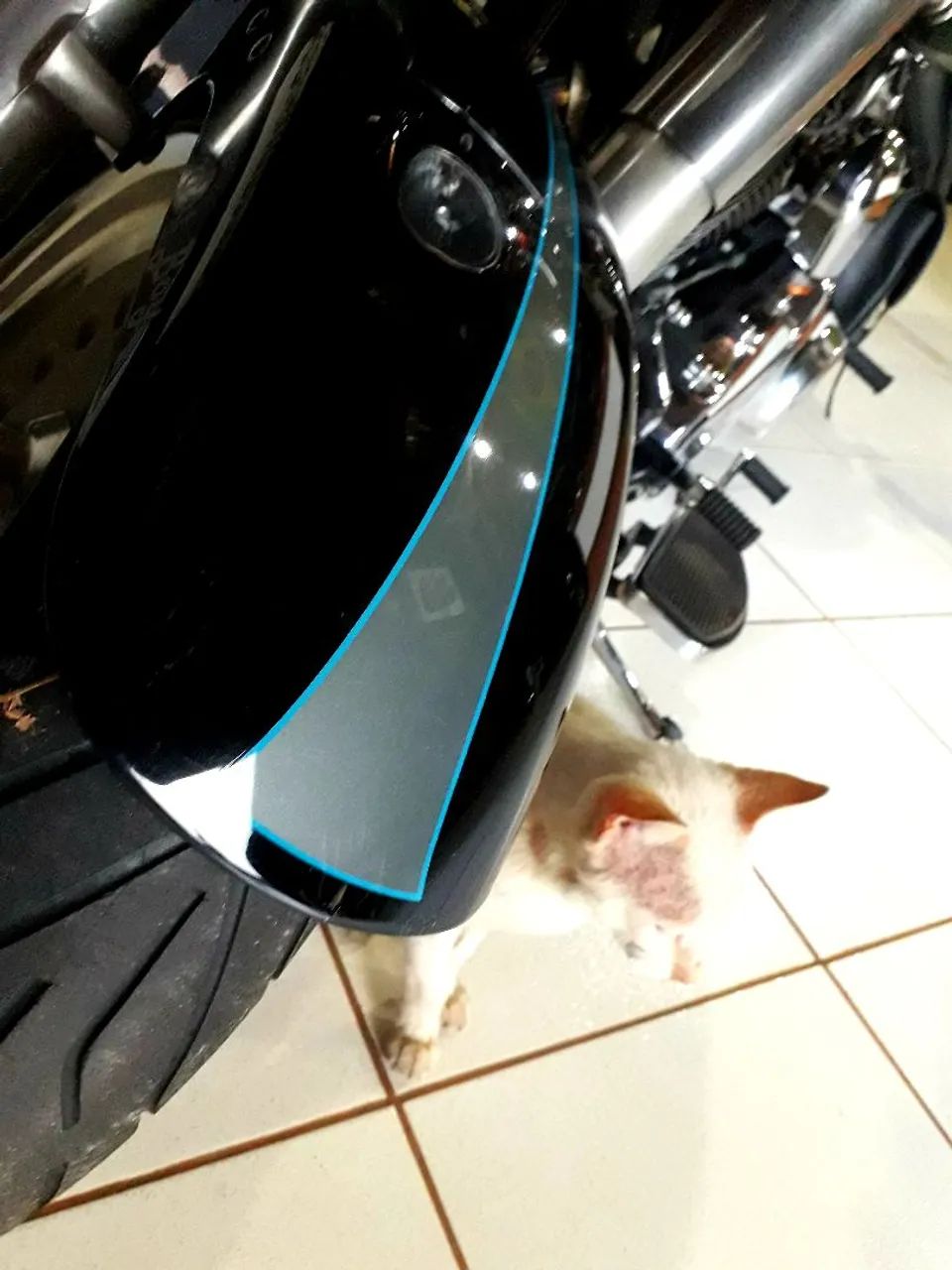 Harley Davidson Fatboy FLSTF ano 2008 - Foto 7