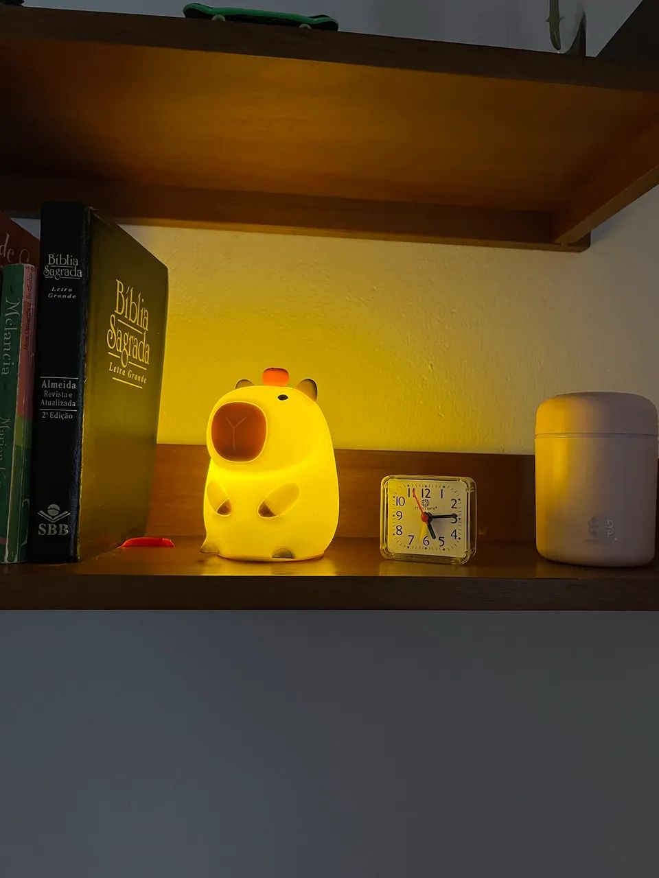 Luminárias decorativas - Foto 4