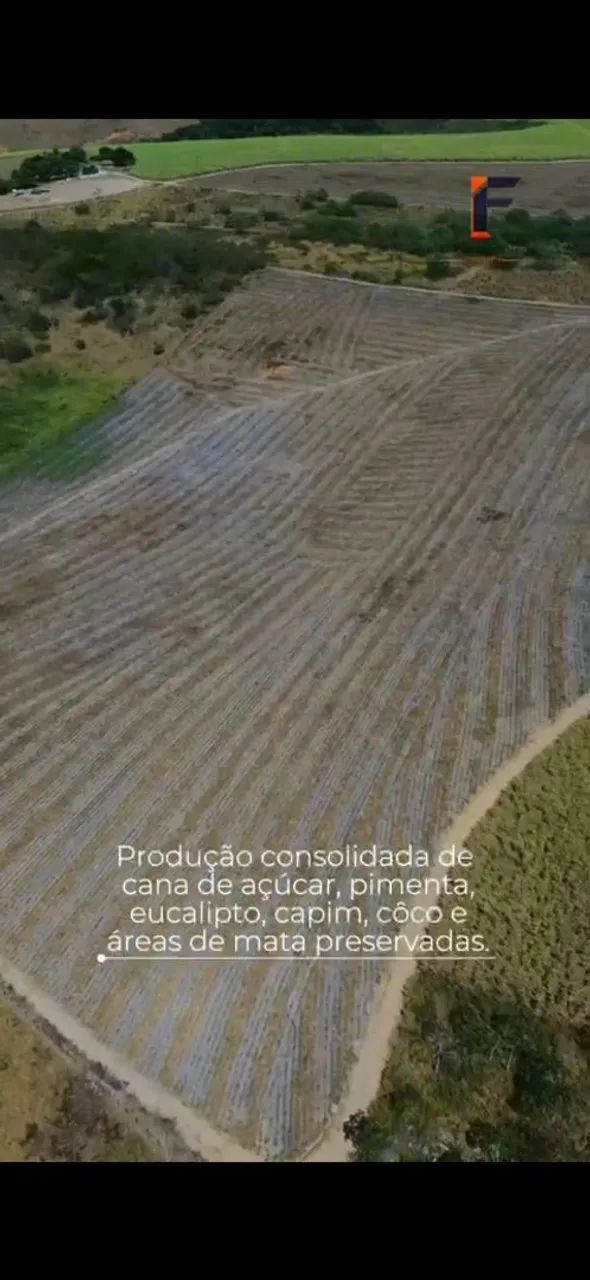 Fazenda Atalaia/ Pilar  - Foto 5