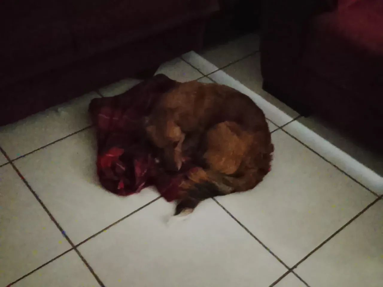 doação - Foto 3