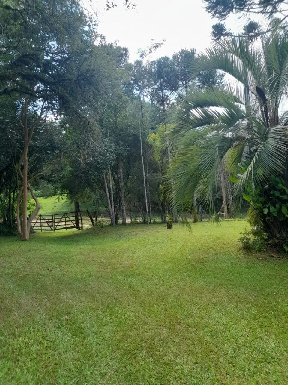 Chacará Lapa Pr  - Foto 3