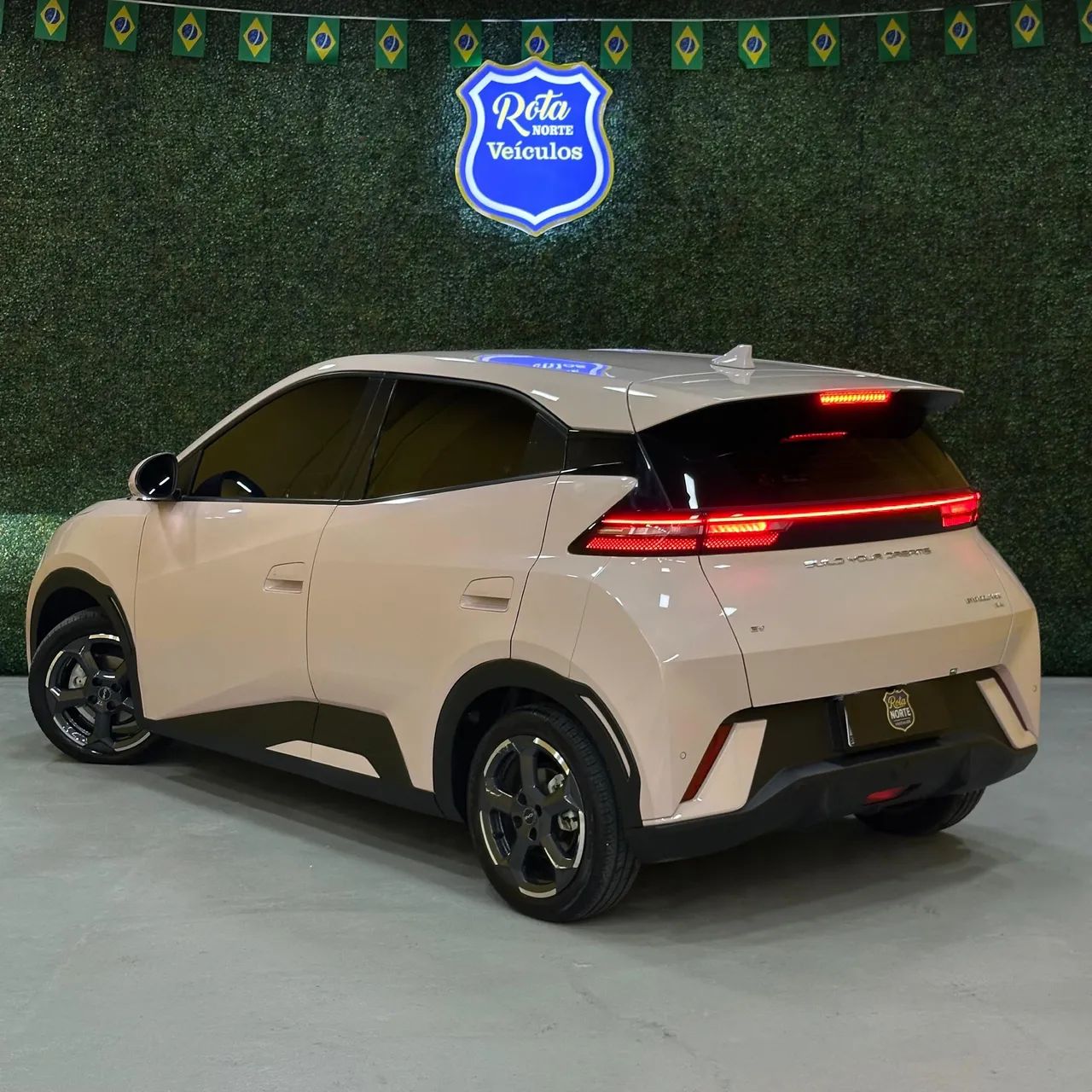 BYD Dolphin Mini (Elétrico) 2025 - Foto 3