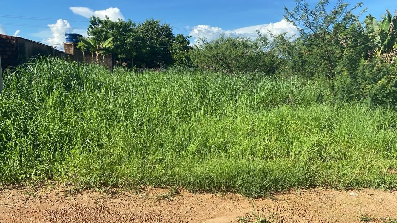 Vendo terreno - Foto 3