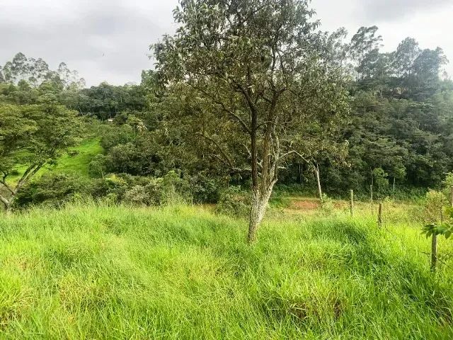 Terreno 500 metros - Foto 4