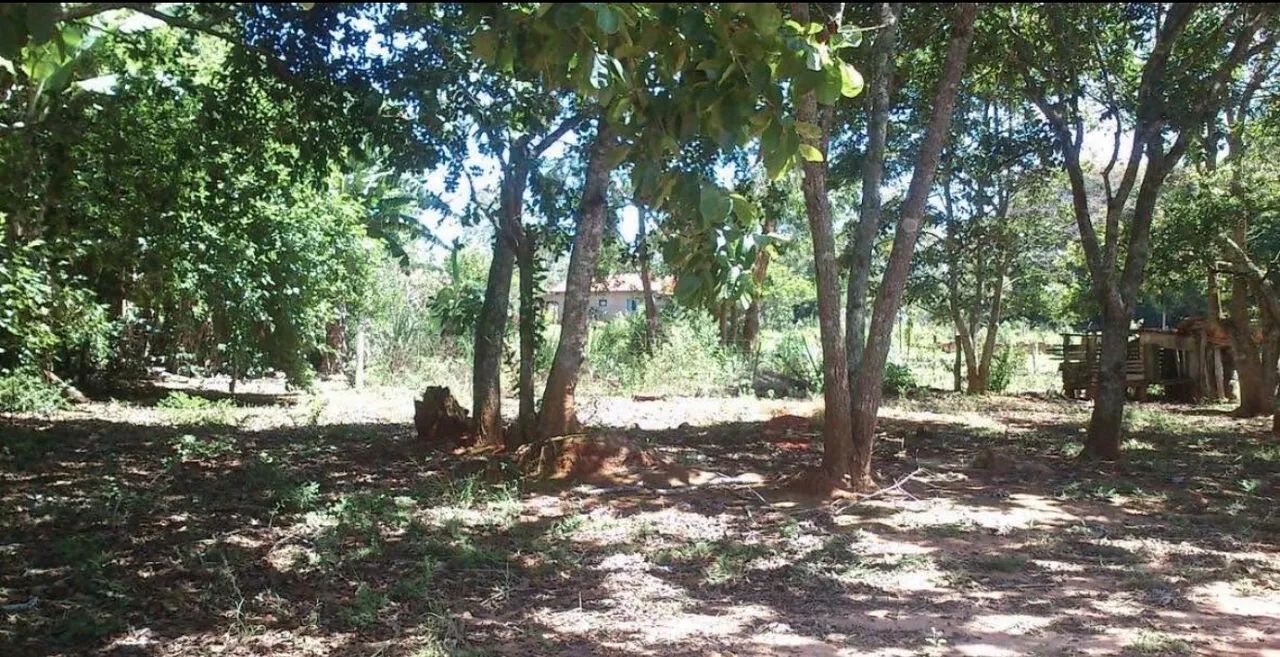 Chácara  - Foto 3