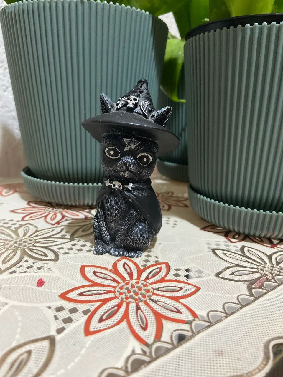 Gato místico  - Foto 5