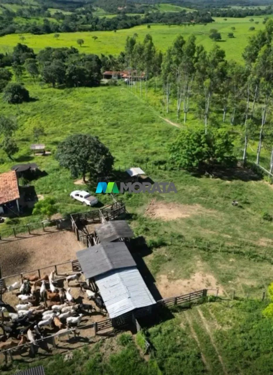 FAZENDA À VENDA - 349 HECTARES - CURVELO (MG) - Foto 3